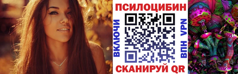 Галлюциногенные грибы Cubensis  мега ТОР  Мглин  закладка 